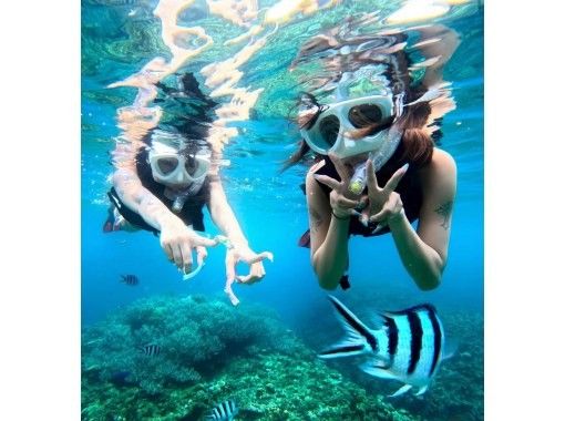 石垣島　ウミガメシュノーケル　マリンショップHAPPY のギャラリー