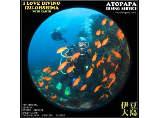 伊豆大島あとぱぱダイビングサービス(atopapa DIVING SERVICE) のギャラリー