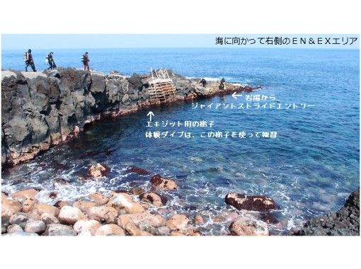 伊豆大島あとぱぱダイビングサービス(atopapa DIVING SERVICE) のギャラリー