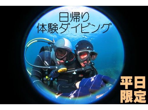 伊豆大島あとぱぱダイビングサービス(atopapa DIVING SERVICE) のギャラリー
