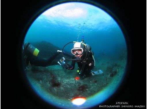 伊豆大島あとぱぱダイビングサービス(atopapa DIVING SERVICE) のギャラリー