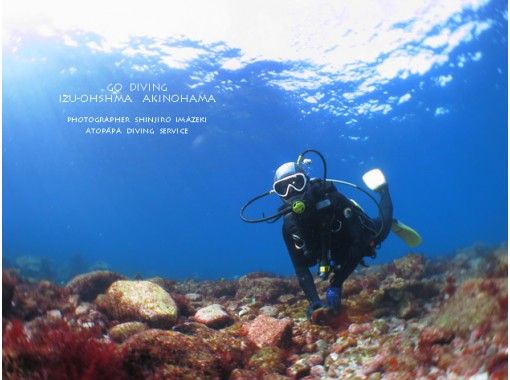 伊豆大島あとぱぱダイビングサービス(atopapa DIVING SERVICE) のギャラリー