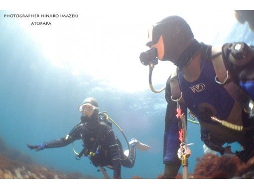 伊豆大島あとぱぱダイビングサービス(atopapa DIVING SERVICE) のギャラリー