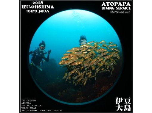 伊豆大島あとぱぱダイビングサービス(atopapa DIVING SERVICE) のギャラリー