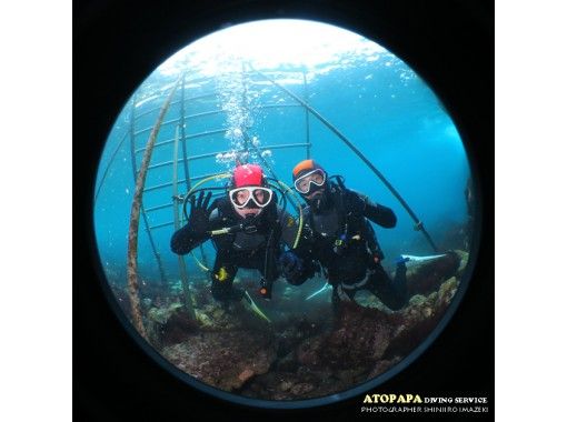 伊豆大島あとぱぱダイビングサービス(atopapa DIVING SERVICE) のギャラリー