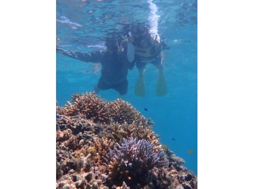 LOUTRE ISHIGAKI（ルートルイシガキ） のギャラリー