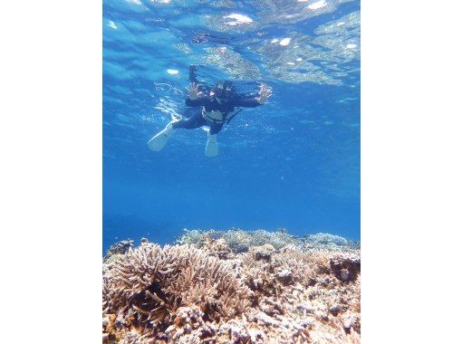 LOUTRE ISHIGAKI（ルートルイシガキ） のギャラリー