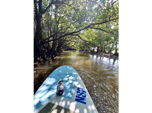 LOUTRE ISHIGAKI（ルートルイシガキ） のギャラリー