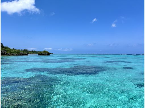 LOUTRE ISHIGAKI（ルートルイシガキ） のギャラリー
