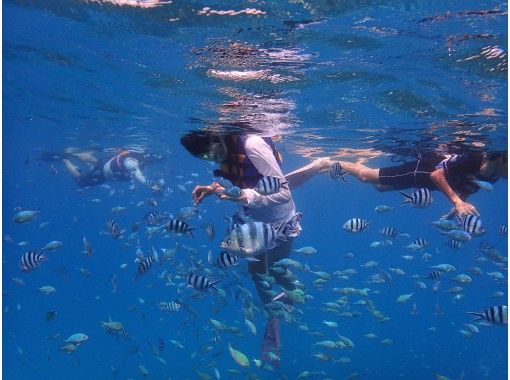 沖縄マリンスタジオ(Okinawa Marine Studio) のギャラリー