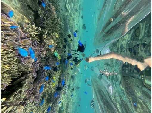 沖縄マリンスタジオ(Okinawa Marine Studio) のギャラリー