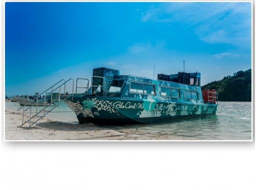 BLUE CORAL のギャラリー