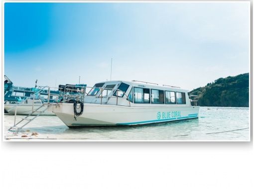 BLUE CORAL のギャラリー