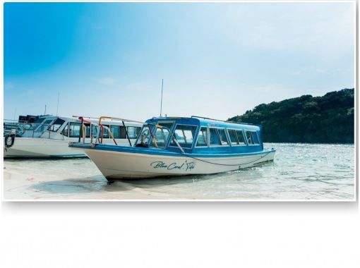 BLUE CORAL のギャラリー