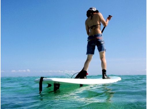 シーナサーフ(SeanaSurf)の予約・アクセス・営業時間 | アクティビティ