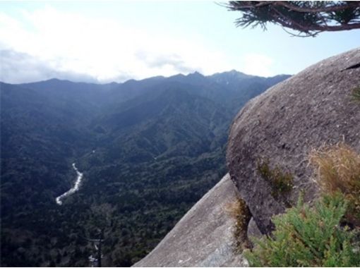 沖縄天然ヤクシマダカラガイ18個セット別売り可能 石垣島ツアーガイドオールブルー】予約・アクセス・割引クーポン