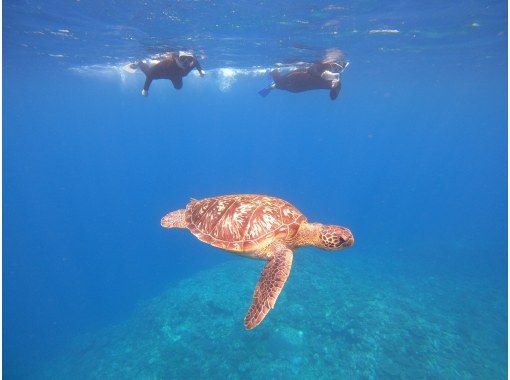 アイナ石垣島 のギャラリー