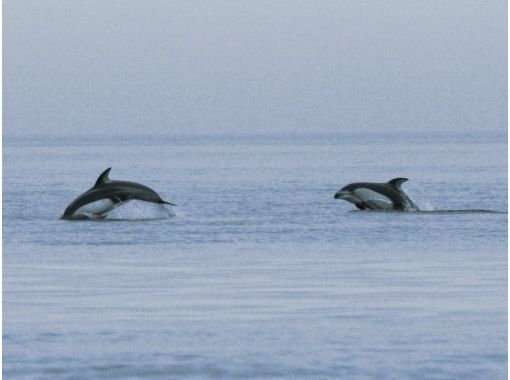 株式会社ツウセン(TUUSEN) のギャラリー