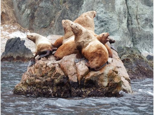 株式会社ツウセン(TUUSEN) のギャラリー