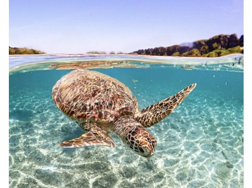 SUNSHINE MARIN 宮古島 のギャラリー