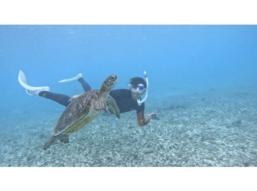 イケメンパラダイス　宮古島 のギャラリー