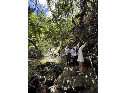 HAKUNAMATATA AMAMI のギャラリー