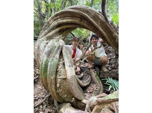 HAKUNAMATATA AMAMI のギャラリー