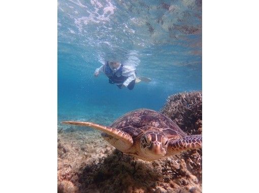 HAKUNAMATATA AMAMI のギャラリー