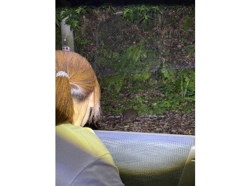 HAKUNAMATATA AMAMI のギャラリー