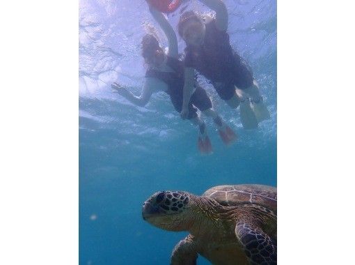 HAKUNAMATATA AMAMI のギャラリー