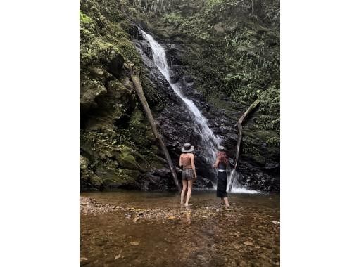 HAKUNAMATATA AMAMI のギャラリー