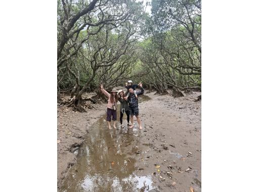 HAKUNAMATATA AMAMI のギャラリー