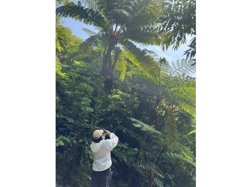 HAKUNAMATATA AMAMI のギャラリー