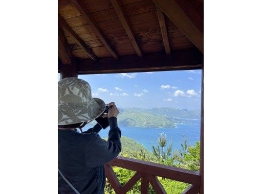 HAKUNAMATATA AMAMI のギャラリー