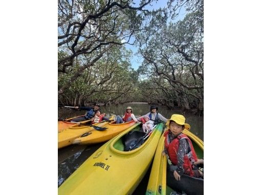 HAKUNAMATATA AMAMI のギャラリー