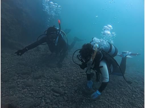 Aqua Vista Kushimoto のギャラリー