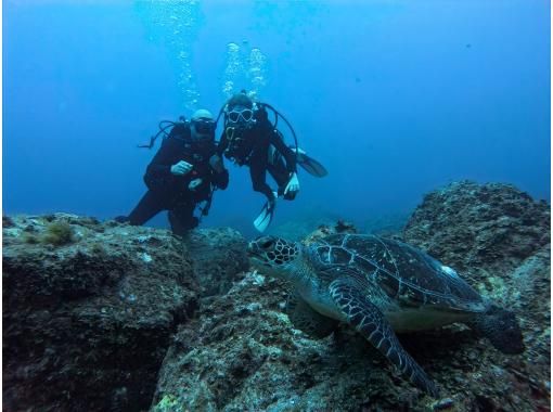 Aqua Vista Kushimoto のギャラリー