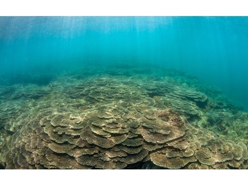 Aqua Vista Kushimoto のギャラリー