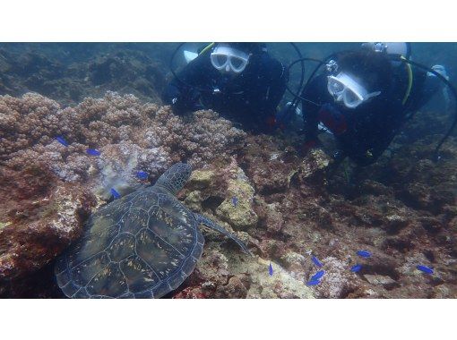 Aqua Vista Kushimoto のギャラリー