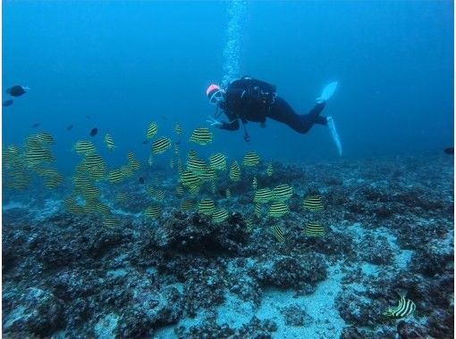 Aqua Vista Kushimoto のギャラリー