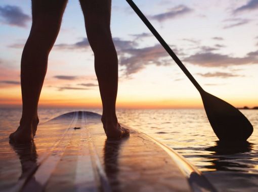 linkworks のギャラリー