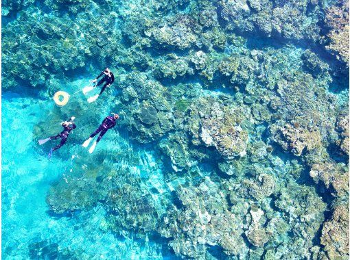 グルービーブルー のギャラリー