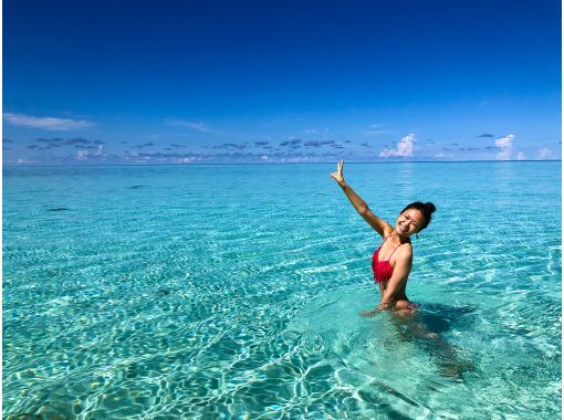 グルービーブルー のギャラリー