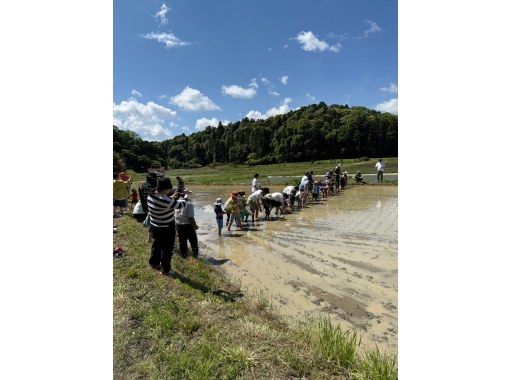 虫生の竈 のギャラリー