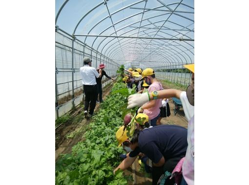 虫生の竈 のギャラリー