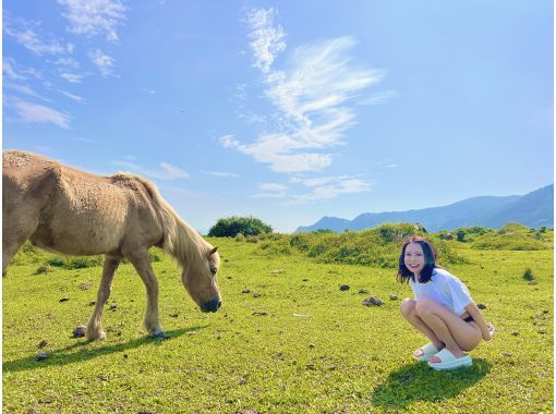 NATURE SHOP PAO のギャラリー