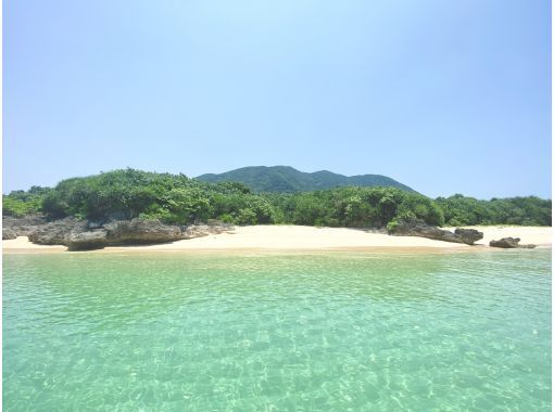 NATURE SHOP PAO のギャラリー