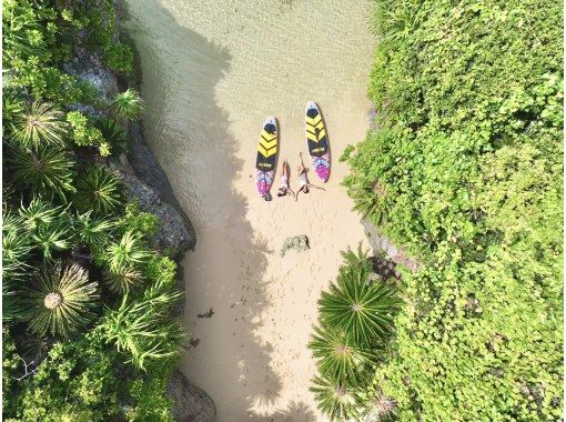 NATURE SHOP PAO のギャラリー