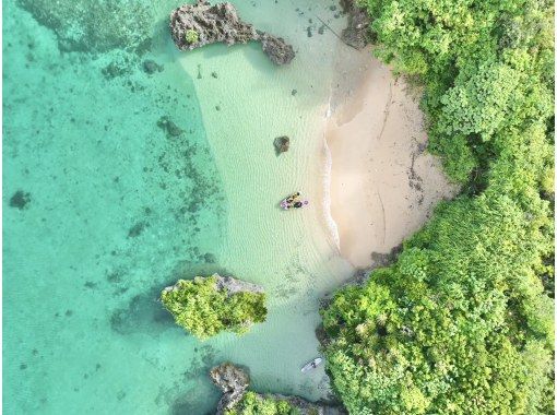 NATURE SHOP PAO のギャラリー