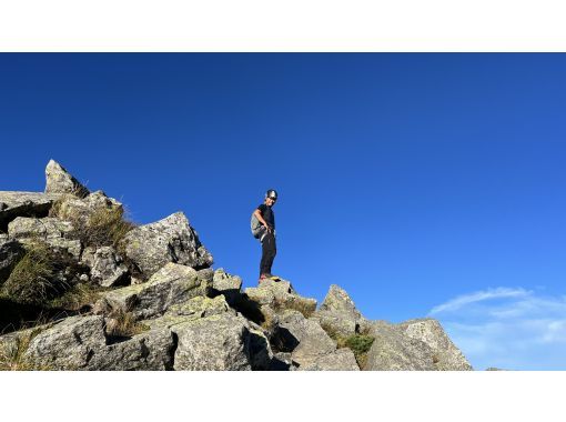 Field Only のギャラリー